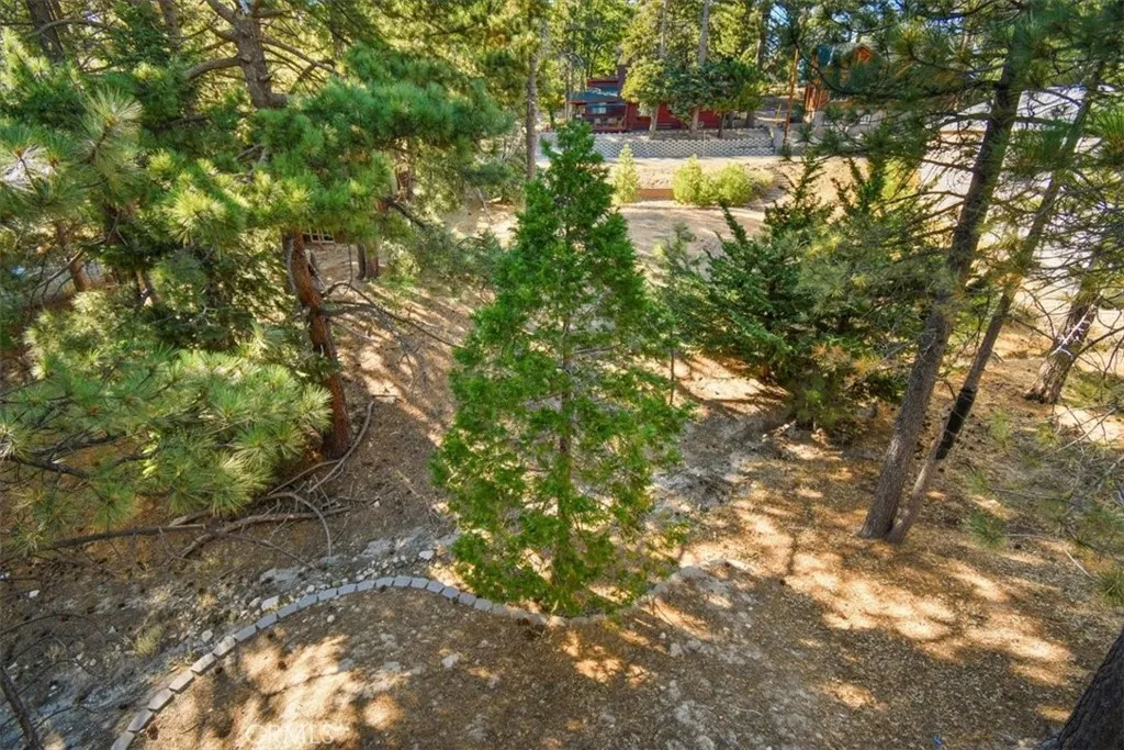 598 Dahlia Drive, Green Valley Lake, California 92341 home-pic-31