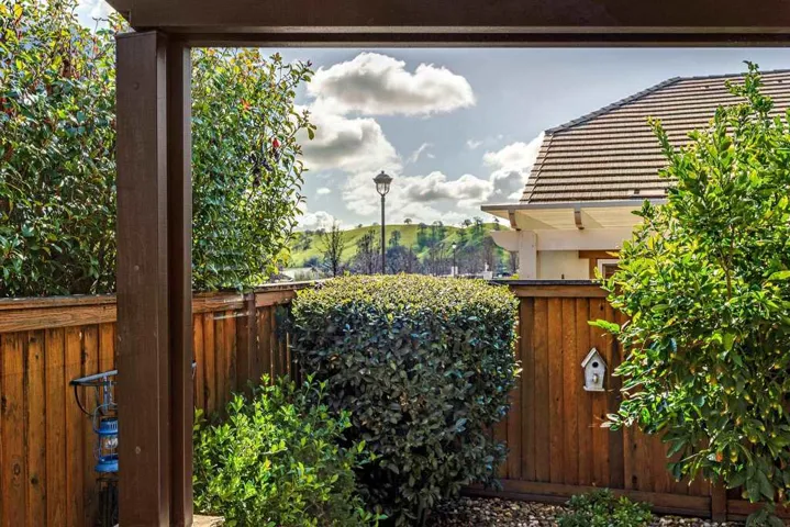 View from kitchen table