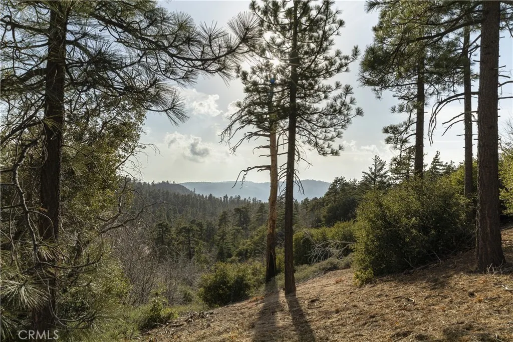 32945 Juniper Lane, Green Valley Lake, California 92341 home-pic-24
