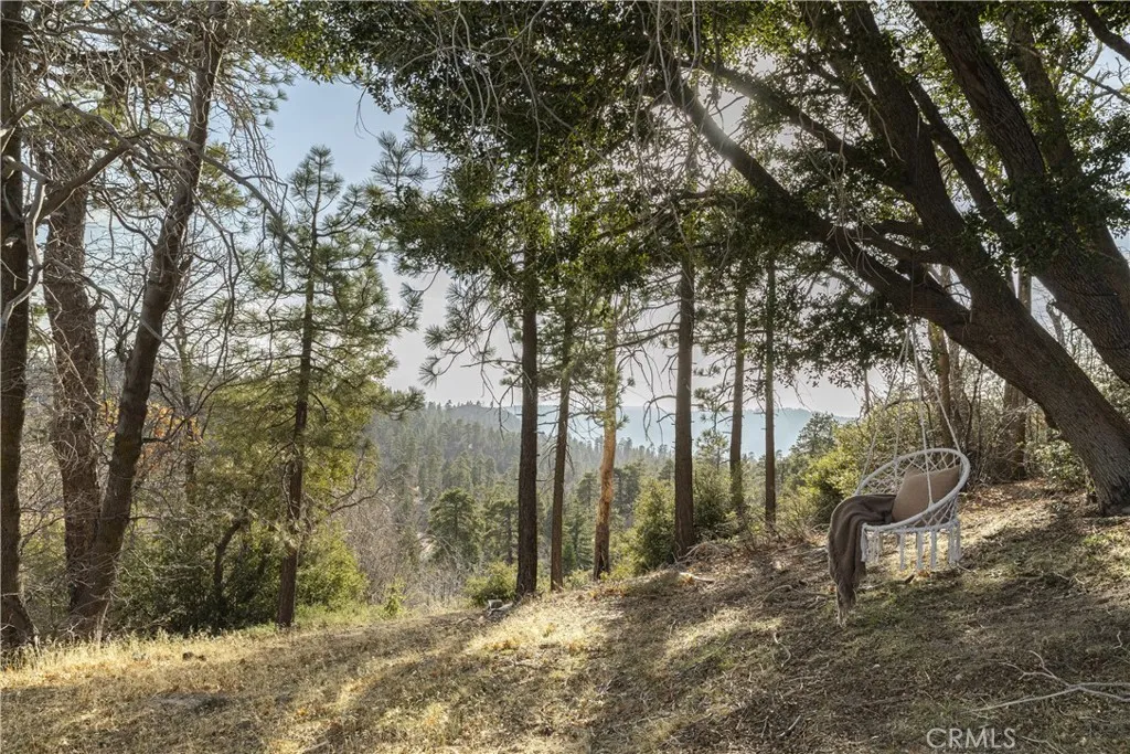 32945 Juniper Lane, Green Valley Lake, California 92341 home-pic-23