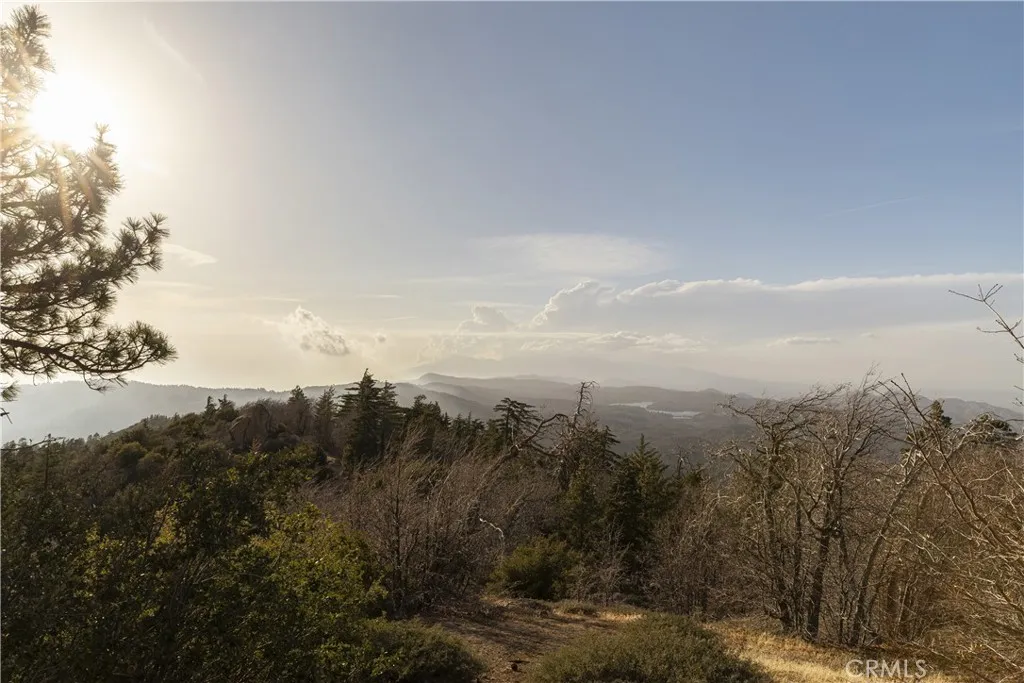 32945 Juniper Lane, Green Valley Lake, California 92341 home-pic-25