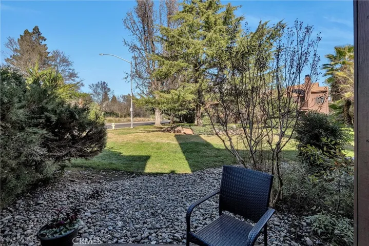 Back patio view