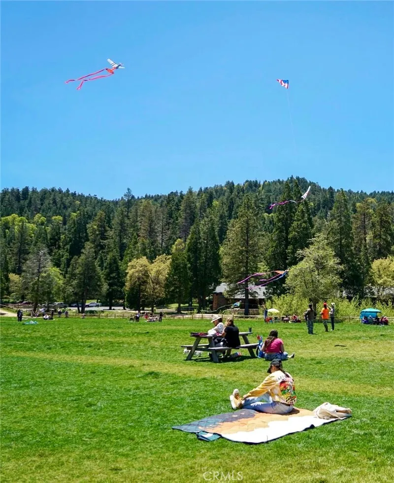 855 Bergschrund Drive, Crestline, California 92325 home-pic-69