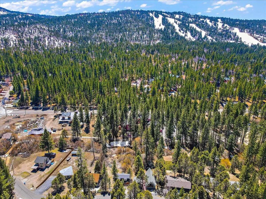 524 Catalina Road, Big Bear, California 92315 home-pic-53