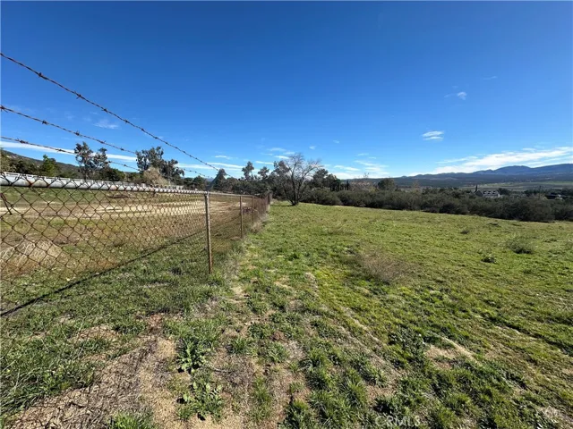 Chain link along back of property