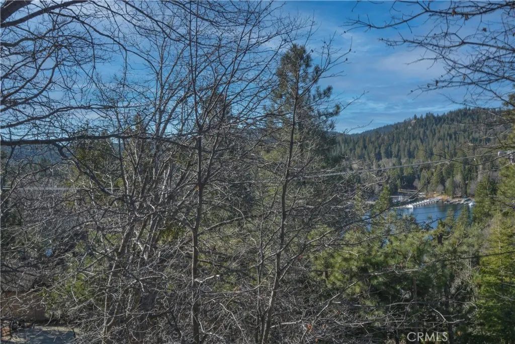 27788 West Shore, Lake Arrowhead, California 92352 home-pic-22