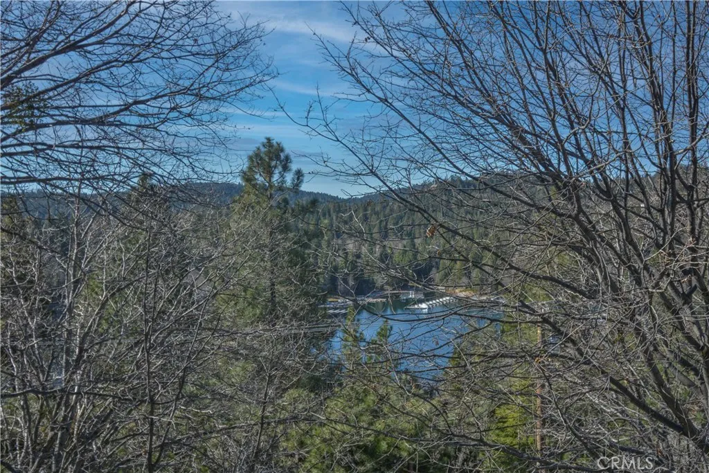 27788 West Shore, Lake Arrowhead, California 92352 home-pic-9