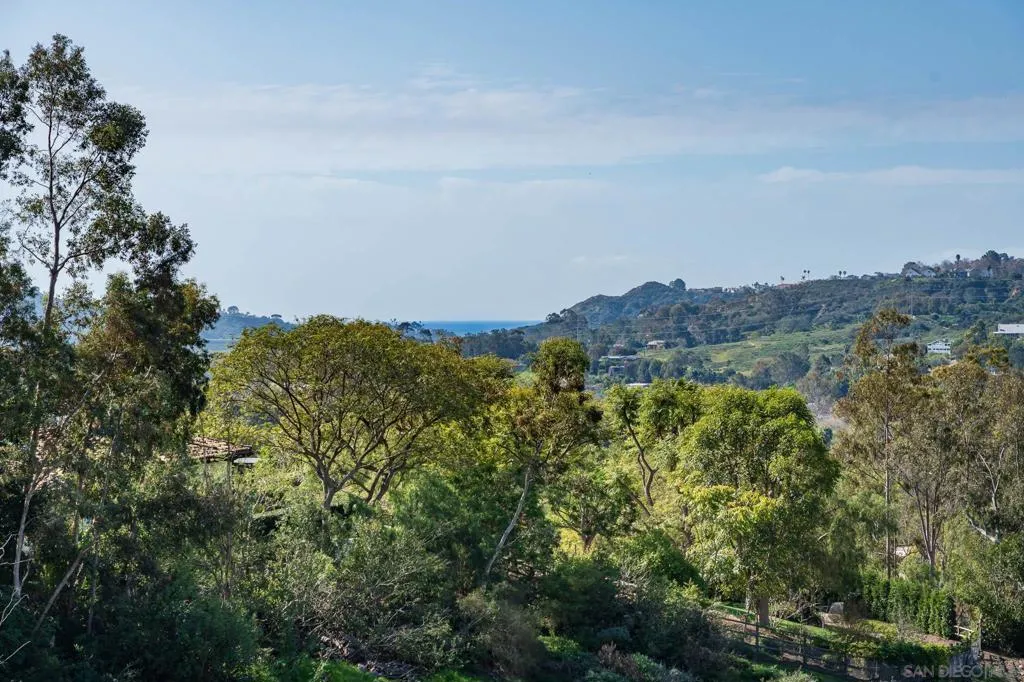 18024 Avenida Alondra, Rancho Santa Fe, California 92067 home-pic-20