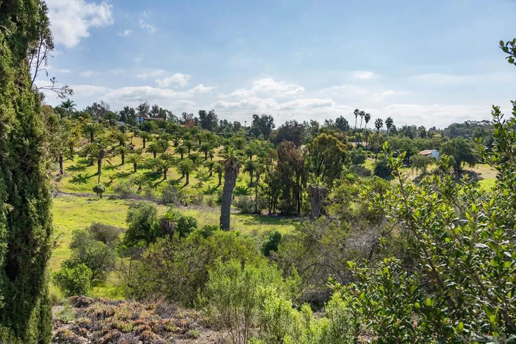 18024 Avenida Alondra, Rancho Santa Fe, California 92067 home-pic-19