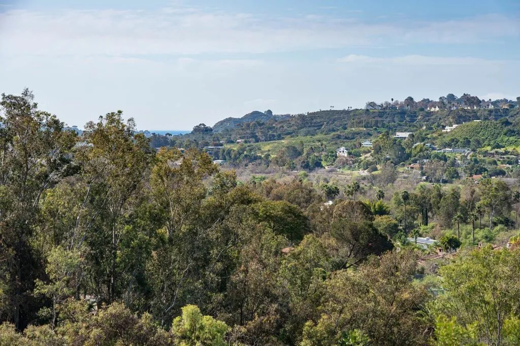 18024 Avenida Alondra, Rancho Santa Fe, California 92067 home-pic-25