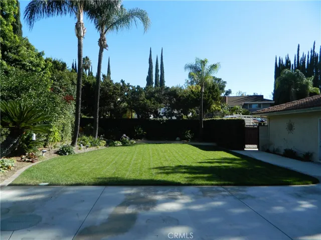 Large Rear Yard
