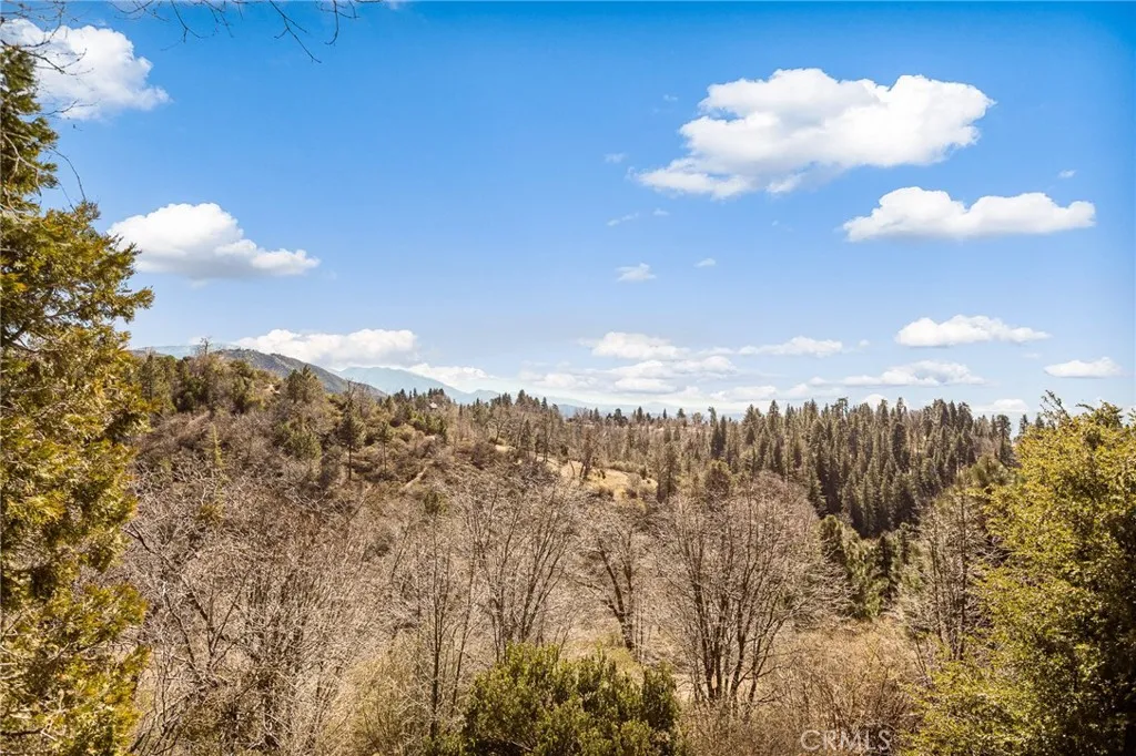 30509 Live Oak, Running Springs, California 92382 home-pic-20
