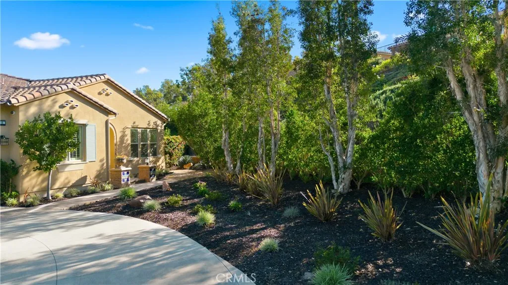 16 Planeo, Rancho Mission Viejo, California 92694 home-pic-48