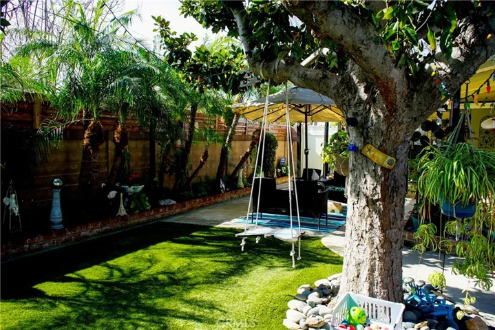 Gorgeous shade tree