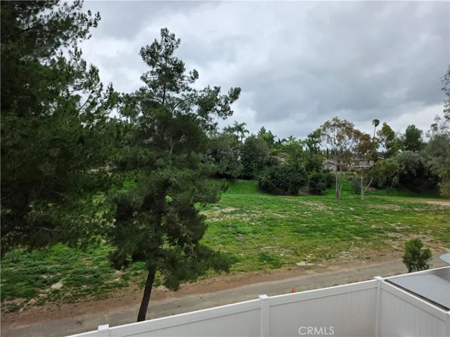 View from Balcony