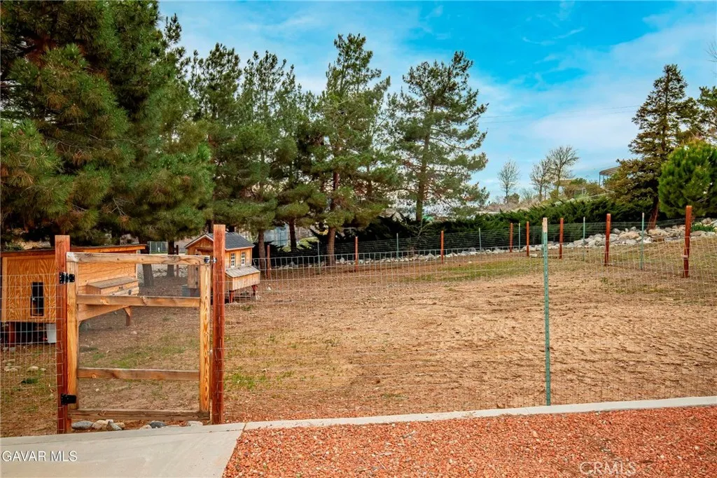 40012 Valle View, Leona Valley, California 93551 home-pic-47