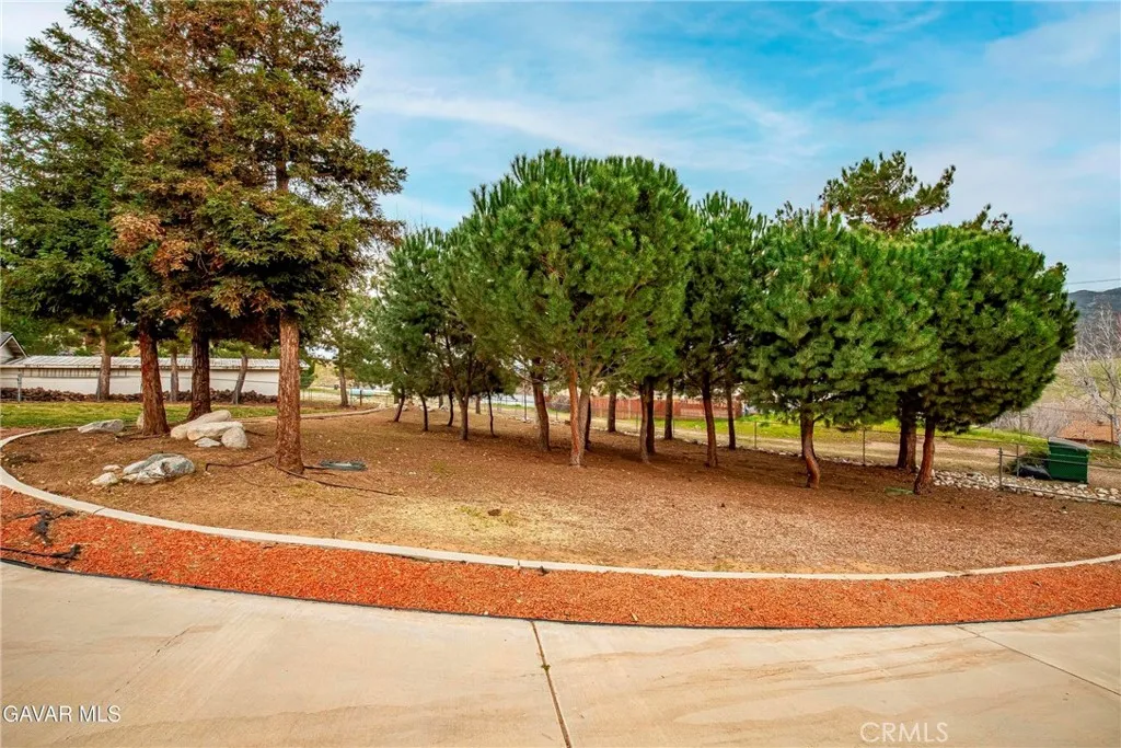 40012 Valle View, Leona Valley, California 93551 home-pic-44
