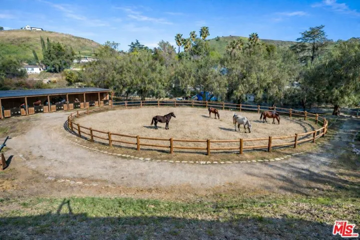 Conceptual Rendering of Horse