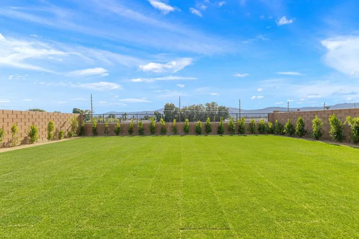 43-web-or-mls-8M4A2728