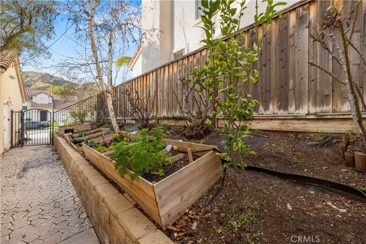 side yard garden
