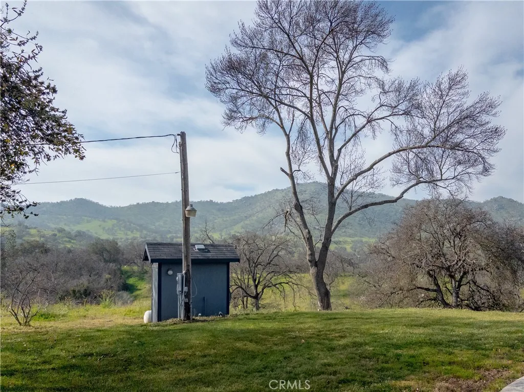 38075 Willowood, Squaw Valley, California 93675 home-pic-37