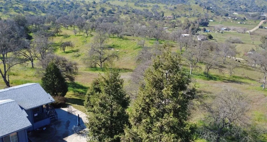 38075 Willowood, Squaw Valley, California 93675 home-pic-30