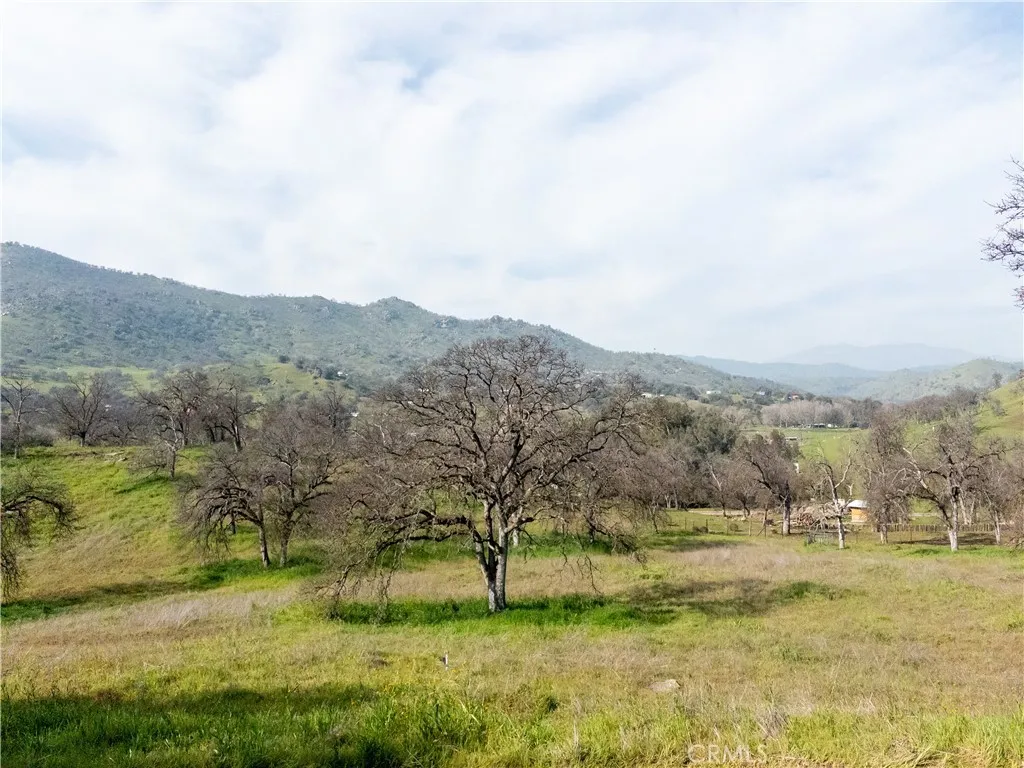 38075 Willowood, Squaw Valley, California 93675 home-pic-31