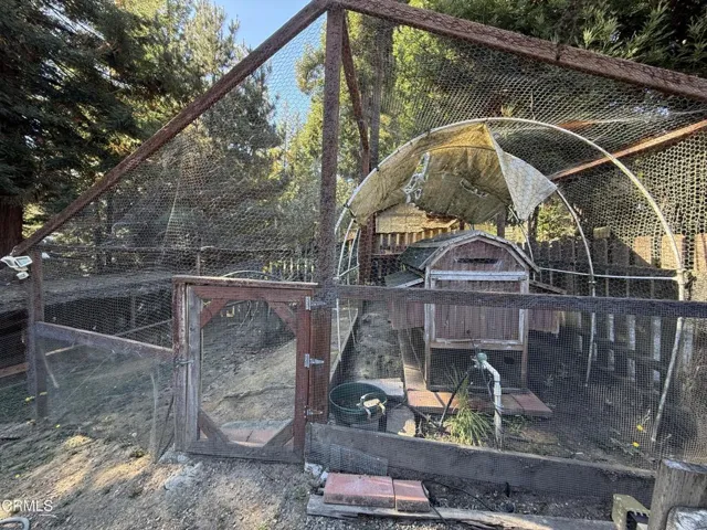 20241015_204721509_iOS