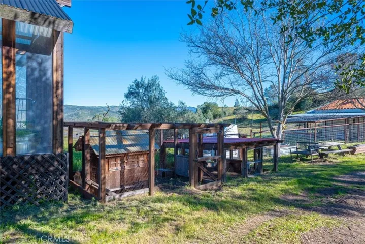Chicken Coop