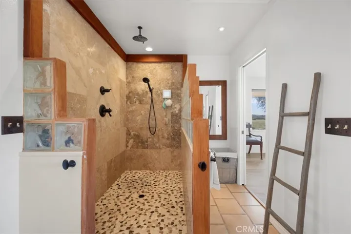 Primary Shower
