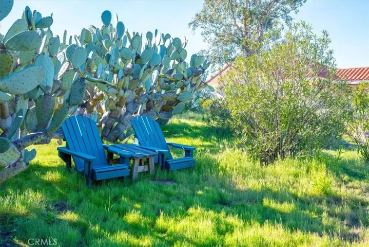 Outdoor Sitting Area