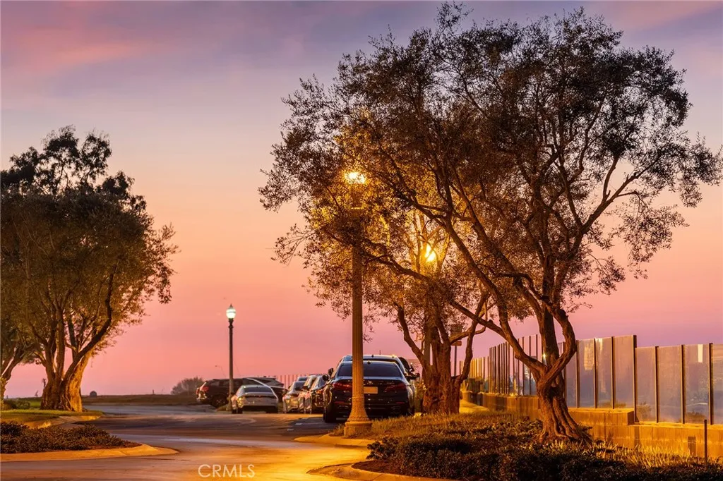 4 San Pietro, Newport Coast, California 92657 home-pic-47