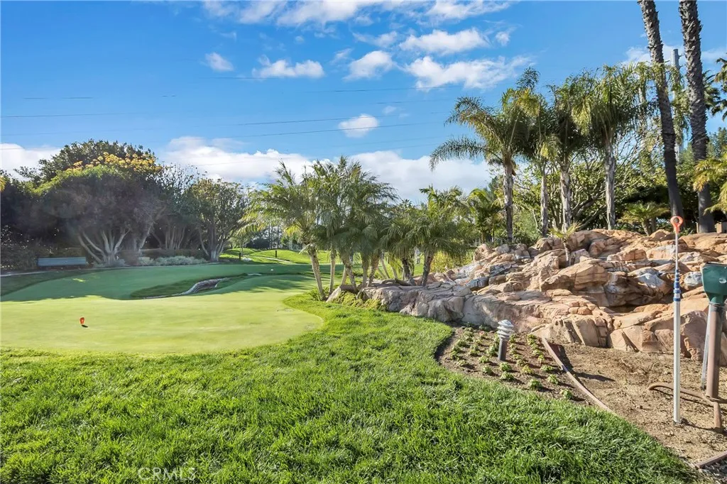 21325 Mazatlan, Mission Viejo, California 92692 home-pic-28