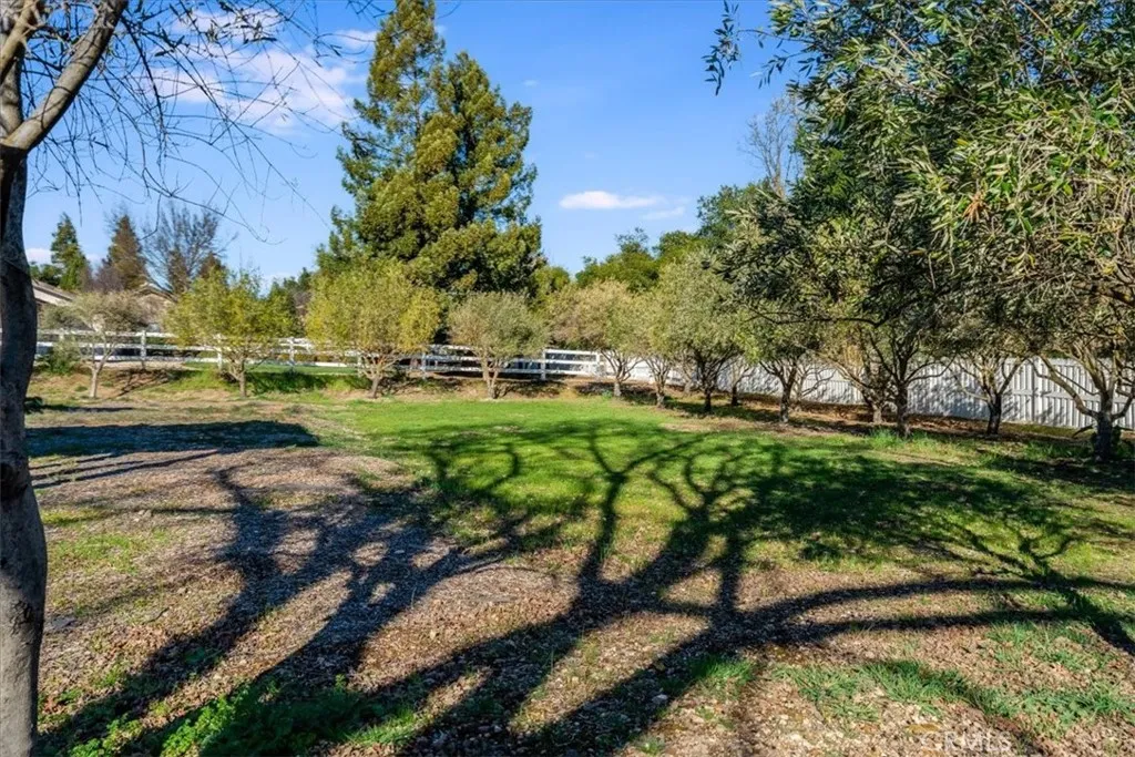 501 Burlwood, Templeton, California 93465 home-pic-38