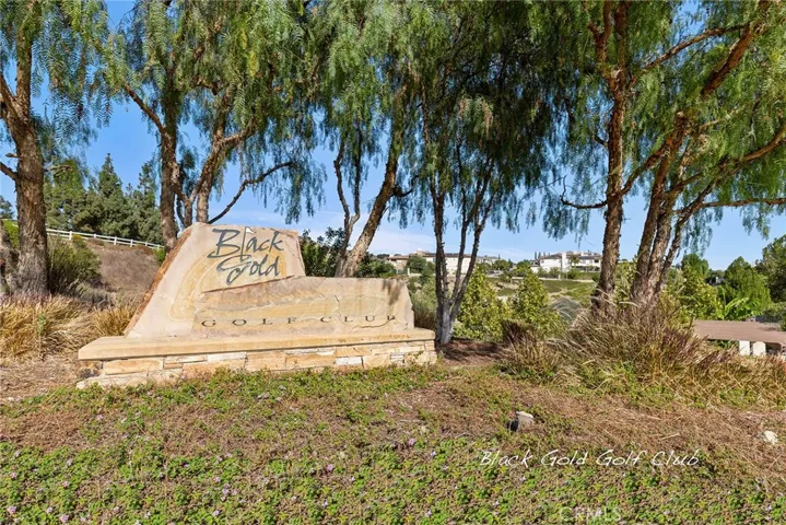 3923 Killymoon, Yorba Linda, California 92886