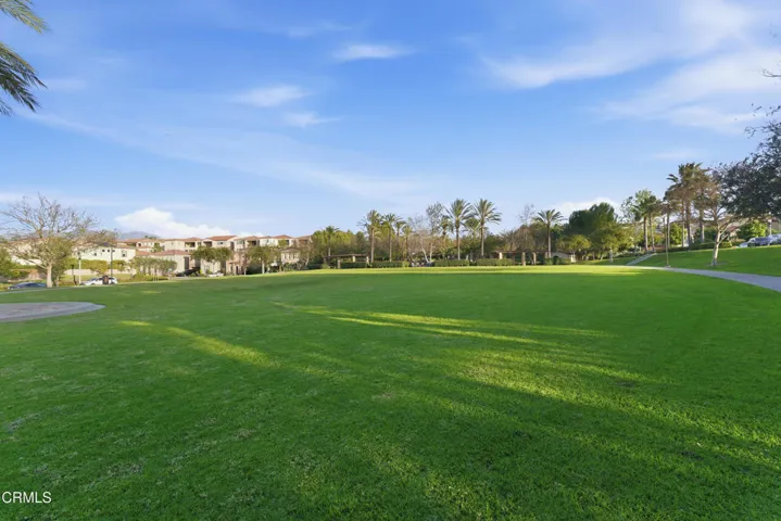 Parks and pool-6
