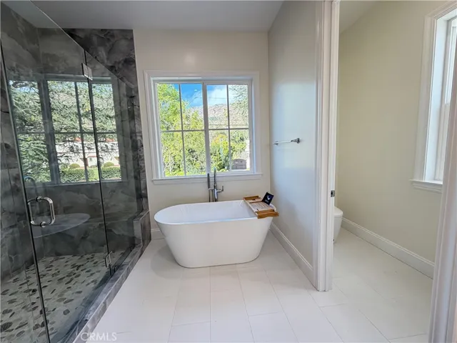 Master shower, free standing tub and toilet