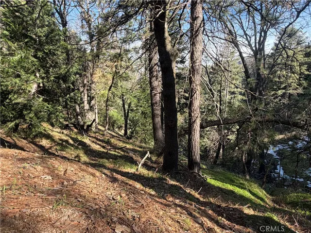 Gental downslope