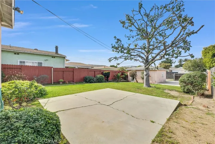 Gorgeous, mature magnolia tree. Recently pruned.