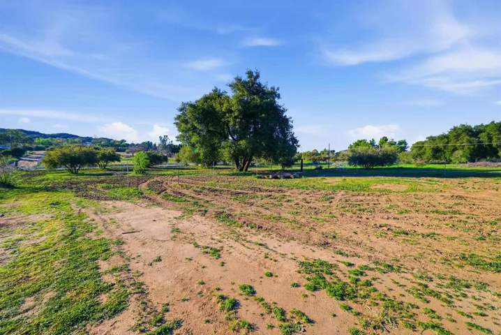 Wide backyard field