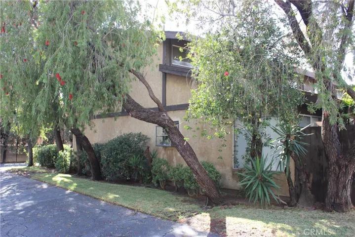 6431 Cleon Ave. 5, North Hollywood, California 91606