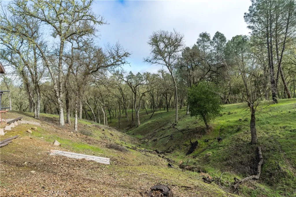 4500 Gage Irving Dr, Paso Robles, California 93446 home-pic-12
