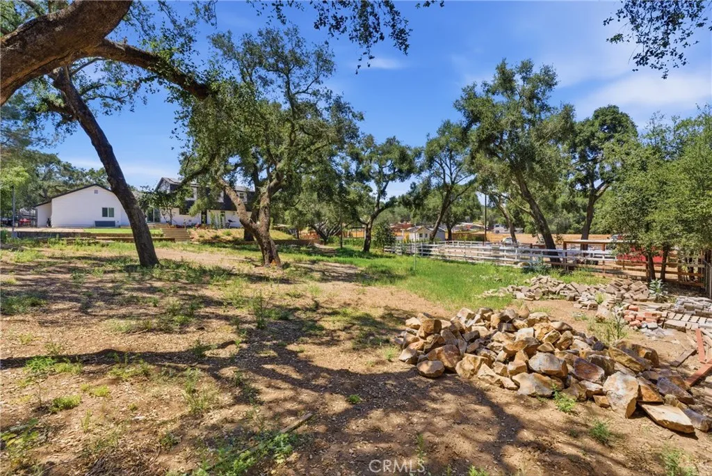 More backyard Space