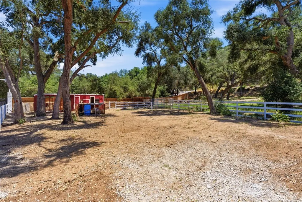 Backyard Open Area