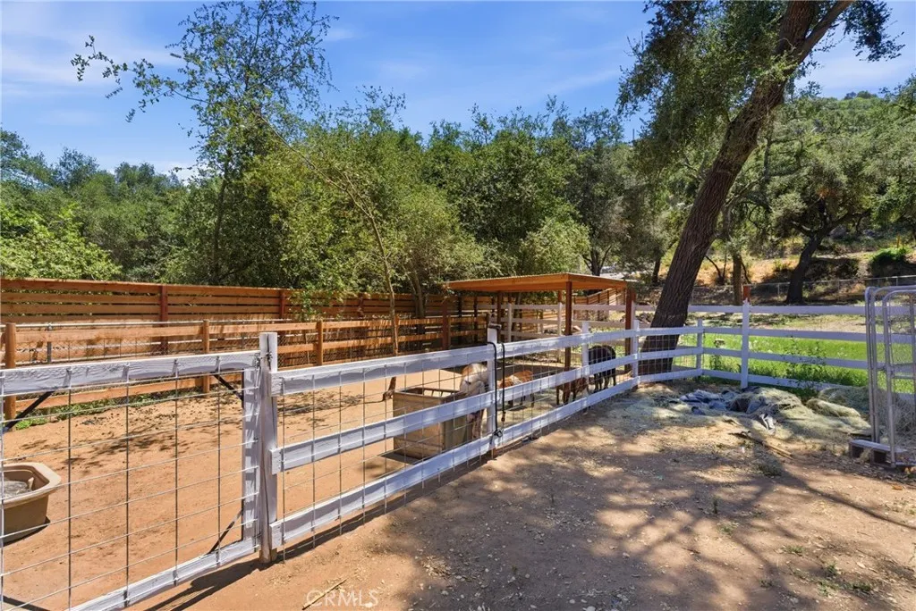 Ponies area