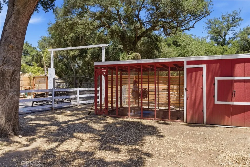 Chicken Coop