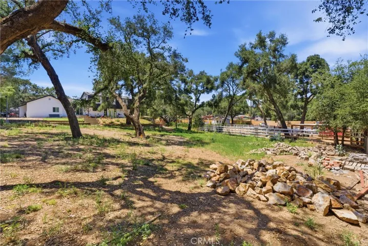 More backyard Space