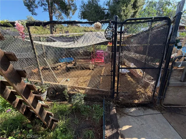 Chicken Coop