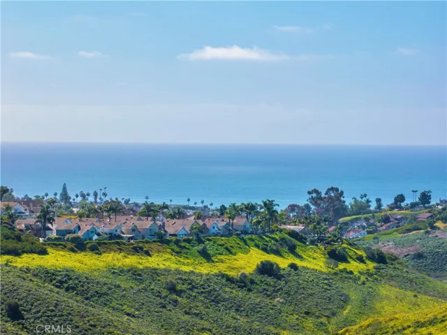 Peek-A-Boo ocean view.