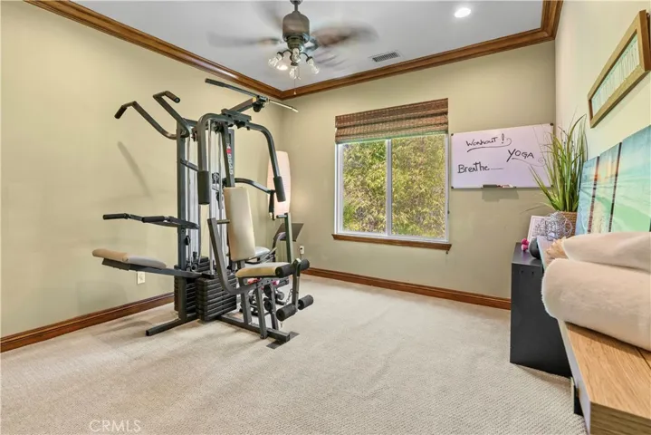 Bedroom #4, or private gym.
